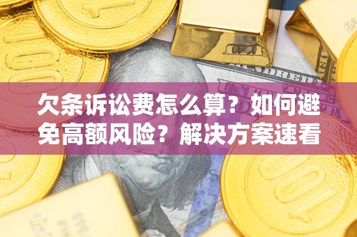 北京欠条诉讼费怎么算？如何避免高额风险？解决方案速看！