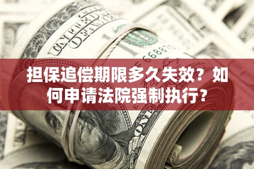 北京担保追偿期限多久失效？如何申请法院强制执行？